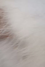 White Butterfly Faux Fur Jacket
